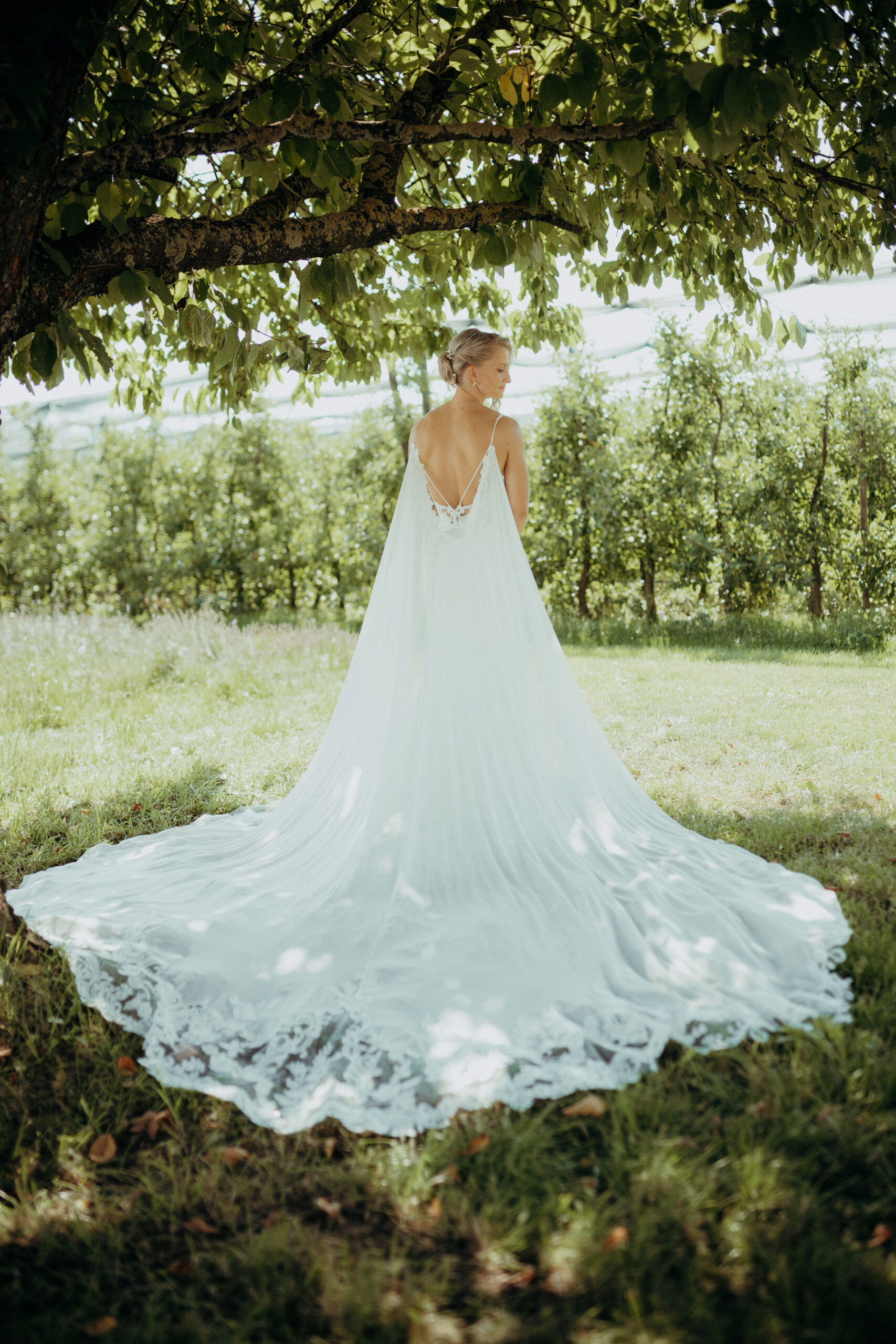 Sabine Melli Hochzeit Standesamt Schwaigern Weingut Florian Robert (9)